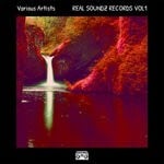 cover: Various - REAL SOUNDZ RECORDS VOL 1