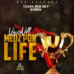 cover: Vyice Vdl - Medz Pon Life