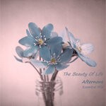 cover: Afternova - The Beauty Of Life (Essential Mix)