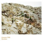 cover: Cosmin Trg - Gordian