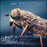 cover: Angel Dust De - Insects