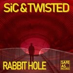 cover: Sic|Twisted - Rabbit Hole