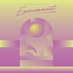 cover: Bronster Bridge - Environment