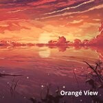 cover: Coventy - Orange View