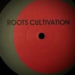 cover: Luiz Ribeiro|Roots Cultivation - Roots Cultivation