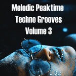 cover: Various - Melodic Peaktime Techno Grooves Volume3