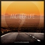 cover: Nelson Vaz - Another Life