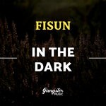 cover: Fisun - In The Dark