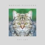 cover: Brosso - Pleasure