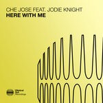 cover: Jodie Knight - Here With Me