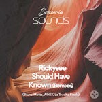 cover: Rickysee - Should Have Known Remixes