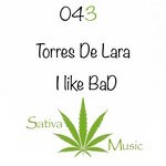 cover: Torres De Lara - I Like BaD