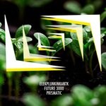 cover: Elekplunkinkantk|Future 3000 - Prismatic