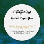 cover: Rafael Yapudjian - Never Gonna Leave You/Saturday Night