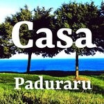 cover: Paduraru - Casa (Festival Music)