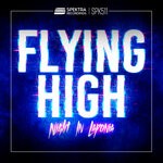 cover: Flying High - Night In Laponia