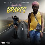 cover: Symple Ras - Brakes