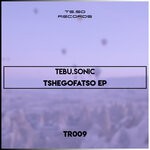 cover: Tebu.sonic - Tshegofatso