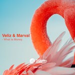 cover: Veliz & Marval - What Is Money