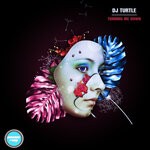 cover: Dj Turtle - Turning Me Down