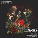 cover: Flash-x - Prototype Shop