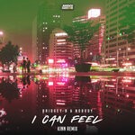 cover: Bridgey-b|Nobody - I Can Feel