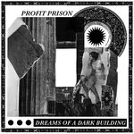 cover: Profit Prison - Dreams Of A Dark Building