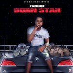 cover: Endure - Born Star