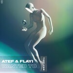 cover: Atef - Wanted To