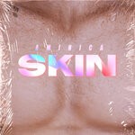 cover: Aminica - Skin