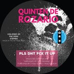 cover: Quinten De Rozario - PLS DNT FCK IT UP