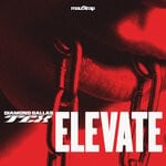 cover: Diamond Dallas Tex|Lil Texas - Elevate