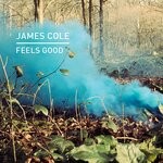 cover: James Cole - Feels Good