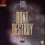 cover: 10tik - Don't Destroy