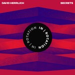 cover: David Herrlich - Secrets