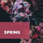 cover: Various - Spring