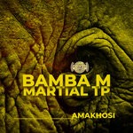 cover: Bamba M|Martial Tp - Amakhosi