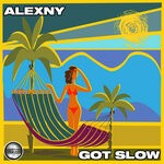 cover: Alexny - Got Slow