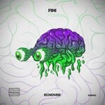 cover: Echover - Fini