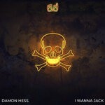 cover: Damon Hess - I Wanna Jack