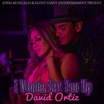 cover: David Ortiz - I Wanna Sex You Up