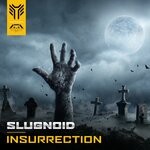 cover: Slugnoid - Insurrection