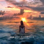 cover: Calvin Biasi|Ducka Shan - How Deep Is Your Love