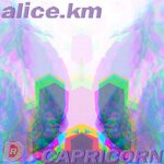 cover: Alice.km - Capricorn