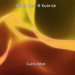 cover: Kubrick|Zebra Rec. - Guess What