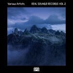 cover: Various - REAL SOUNDZ RECORDS VOL 2