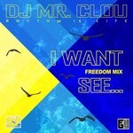 cover: Dj Mr. Clou - I Want See... (Freedom Mix)