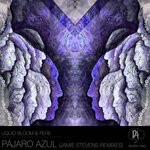 cover: Liquid Bloom|Pere - Pajaro Azul (Jamie Stevens Remixes)