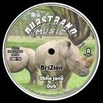 cover: Brizion - Obhejane