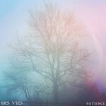 cover: Des Vies - Patience